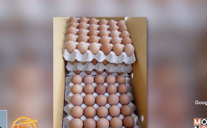 EU แจ้งเตือน 4 สมาชิกตรวจสอบไข่ปนเปื้อน