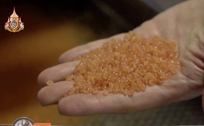 ไบโอพลาสติกชนิดใหม่ ย่อยสลายในทะเล