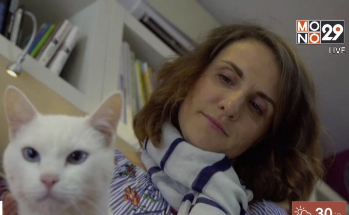 รัสเซียคัดเลือก “อคิลลิส” แมวทำนายผลบอลโลก