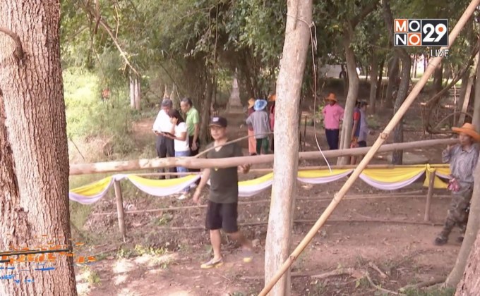 ทำแนวกั้นตลิ่งป้องกันต้นยางนาอายุ 300 ปีโค่นล้ม