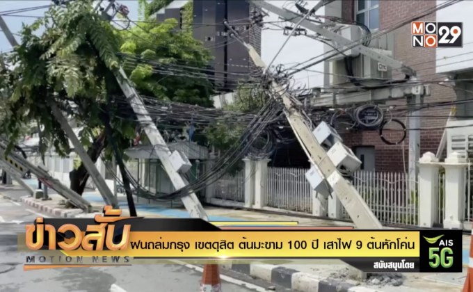 ฝนถล่มกรุง เขตดุสิต ต้นมะขาม 100 ปี เสาไฟ 9 ต้นหักโค่น