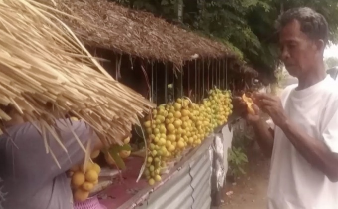 ผลไม้ป่าตามฤดูกาล ของดีริมทางชายแดนสุรินทร์