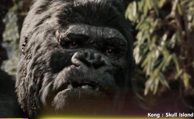 5 วานรแสนรู้แห่งโลกภาพยนตร์