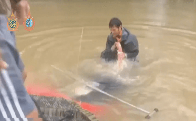 ช่วยหญิงและสุนัขติดอยู่ในรถที่ถูกน้ำท่วมในสหรัฐฯ