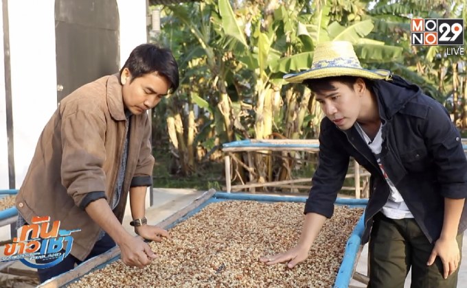 เจษฎาพาลุย : บุกโรงคั่ว ชมกาแฟเลือดอีสานของดีวังน้ำเขียว