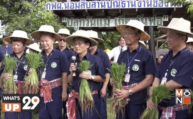 กฝผ. สืบสานพระราชปณิธานในหลวงรัชกาลที่ 9 จัดกิจกรรม “ปลูกวันแม่ เกี่ยววันพ่อ” ณ ศูนย์การเรียนรู้ศาสตร์พระราชา