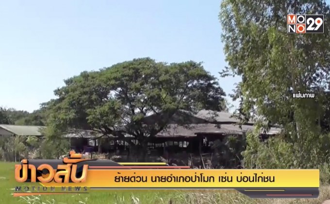 ย้ายด่วน นายอำเภอป่าโมก เซ่น บ่อนไก่ชน