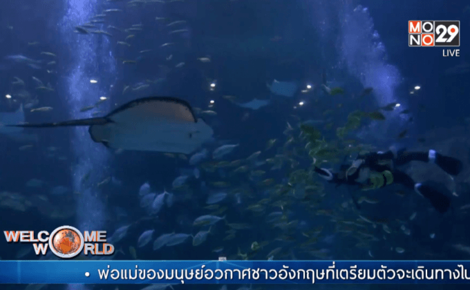 ซานตาคลอสใต้น้ำในเกาหลีใต้