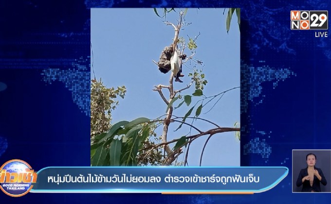 หนุ่มปีนต้นไม้ข้ามวันไม่ยอมลง ตำรวจเข้าชาร์จถูกฟันเจ็บ