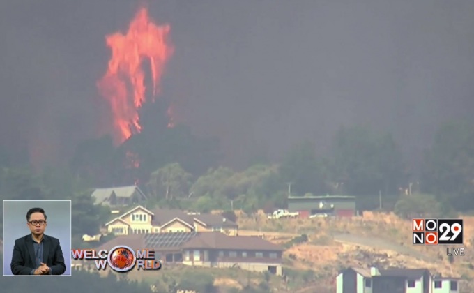 ไฟป่าที่นิวซีแลนด์