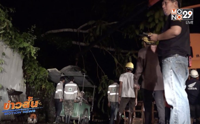 ต้นเหรียงล้มทับเสาไฟ ไฟดับทั้งเมือง จ.ยะลา