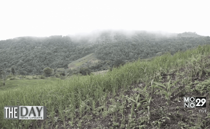 อนุรักษ์ป่าเมืองน่านตามแนวพระราชดำริ