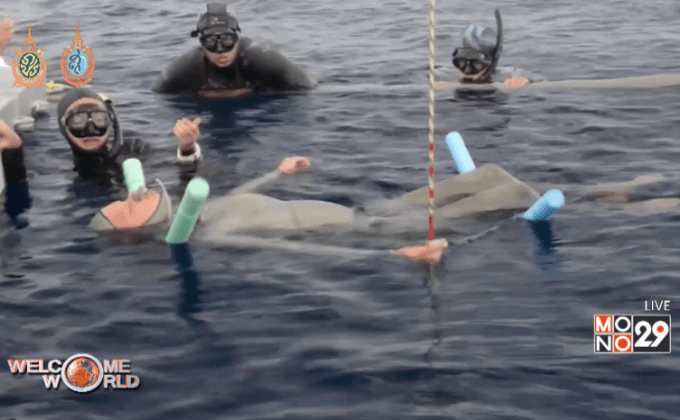 นักดำน้ำชาวดัตช์ทำลายสถิติฟรีไดฟ์วิ่ง