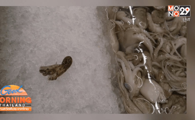 สธ.แจงยังไม่พบคนไทยได้รับพิษจาก “หมึกบลูริง”