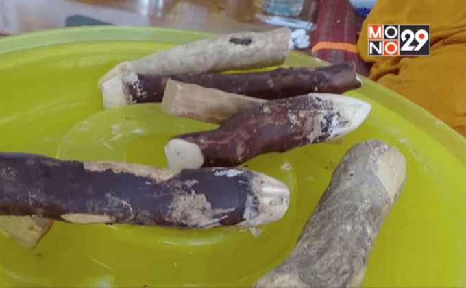 เลิกเหล้าจากรากไม้ 3 ชนิด