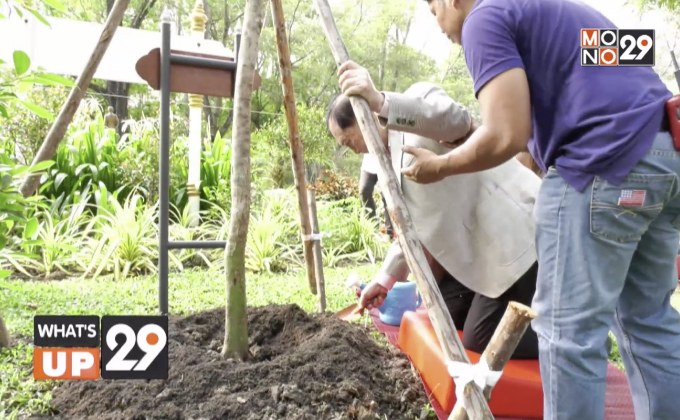 สหพัฒนพิบูล จัดกิจกรรมปลูกต้นไม้ ณ สวนอุทยานพุทธมณฑล
