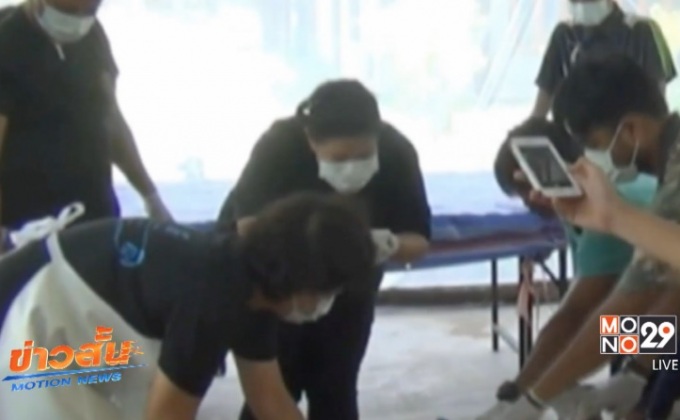 ผ่าซากพะยูนแม่ลูกอ่อนพิสูจน์หาสาเหตุการตาย