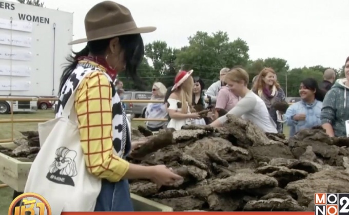 แข่งขันขว้าง “มูลวัว” ในสหรัฐ