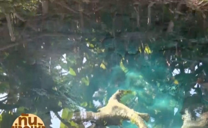 เที่ยวน้ำตกบัวตอง – น้ำพุเจ็ดสี