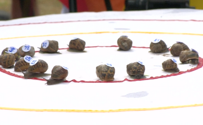 การแข่งขันหอยทากชิงแชมป์โลก