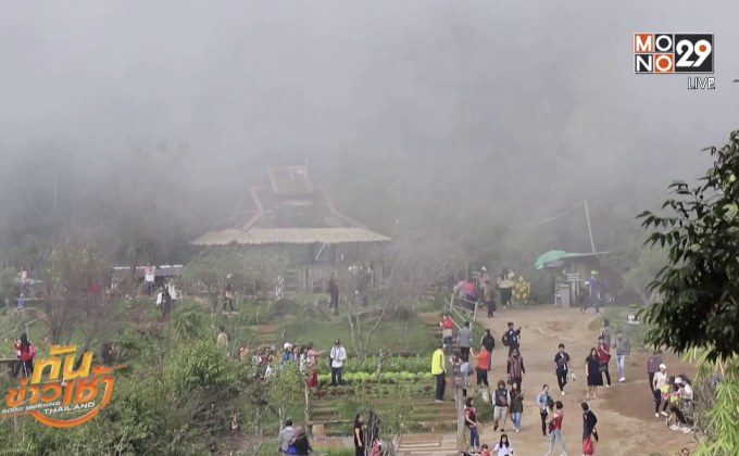 นทท.แห่ชมสายหมอกดอกไม้ดอยม่อนแจ่ม จ.เชียงใหม่