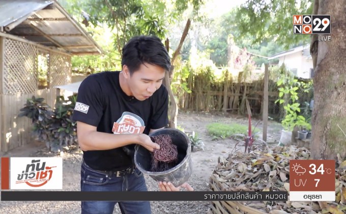 เจษฎาพาลุย : ท้าความกล้า “สปาไส้เดือน” หนึ่งเดียวในไทย จ.แพร่
