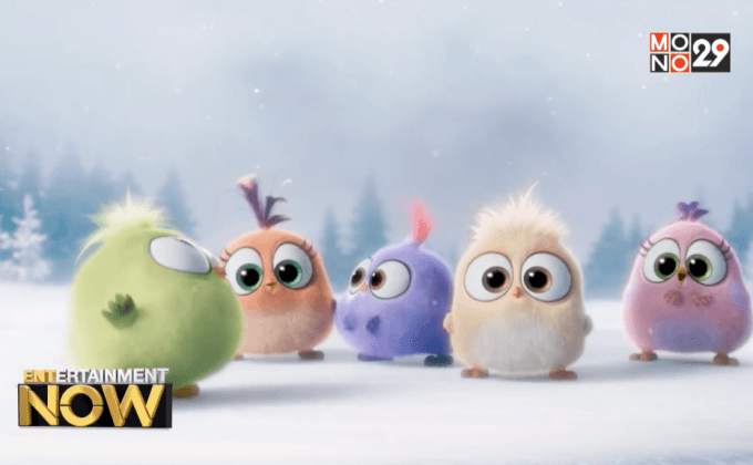 คลิปใหม่สุดน่ารัก ต้อนรับเทศกาล จาก The Angry Birds Movie