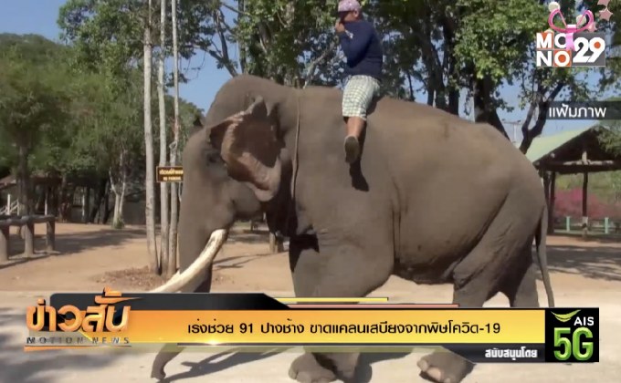 เร่งช่วย 91 ปางช้าง ขาดแคลนเสบียงจากพิษโควิด-19