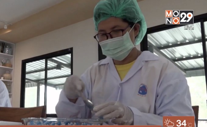 เร่งผลิตยา “หมอแสง” ให้ผู้ป่วยมะเร็ง กว่า 2 หมื่นคน