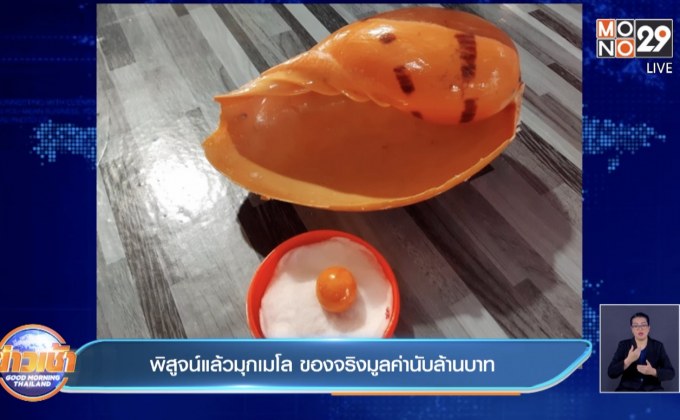 พิสูจน์แล้วมุกเมโล ของจริงมูลค่านับล้านบาท