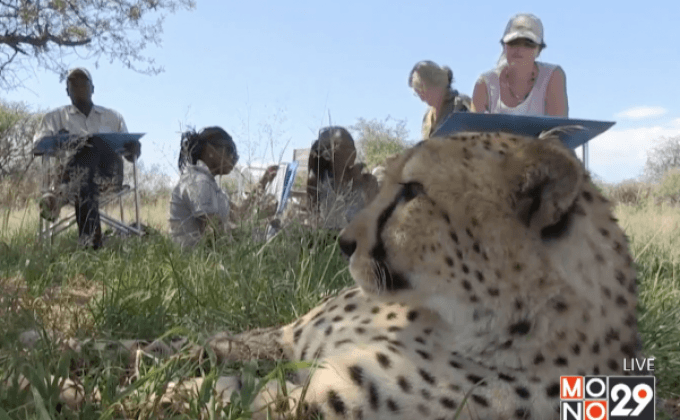 กิจกรรมวาดรูปในซาฟารี