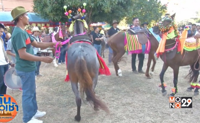 ประกวดม้าแห่ลูกแก้ว จ.เชียงใหม่