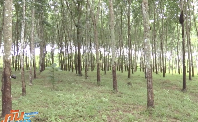 เตรียมของบกลาง 2พันล้าน เยียวยาเกษตรกรน้ำท่วม