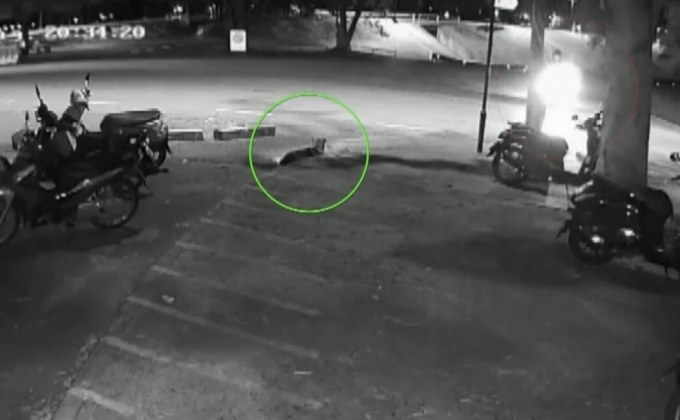 พบแล้ว!ชายนิรนามนำ “พี่เตี้ย”ออกจากมช.อ้างพาไปเที่ยว