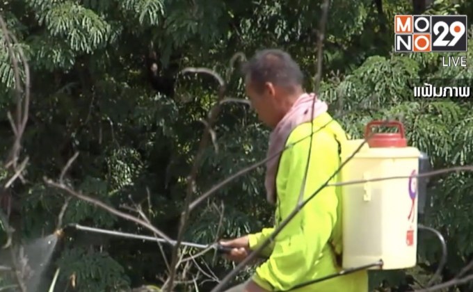 มติ 4 ฝ่าย แบนสารเคมีเกษตรฯ 1 ธ.ค. 62