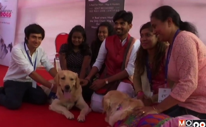 พิธีแต่งงานสุนัขในอินเดีย