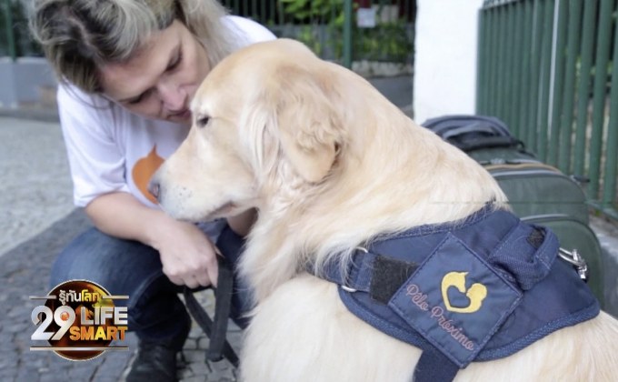 29 LifeSmart : GOOD HEALTH บราซิลใช้สุนัขช่วยบำบัดเด็กในโรงพยาบาล