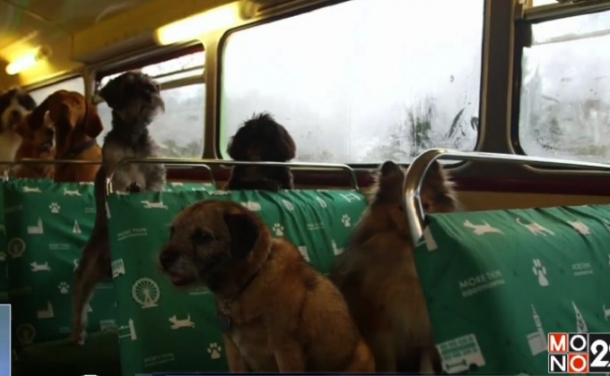 อังกฤษเปิดตัวรถบัสสำหรับสุนัขคันแรก
