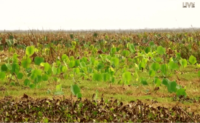 แหล่งน้ำแห้งขอดกระทบเกษตรกรต่อเนื่อง