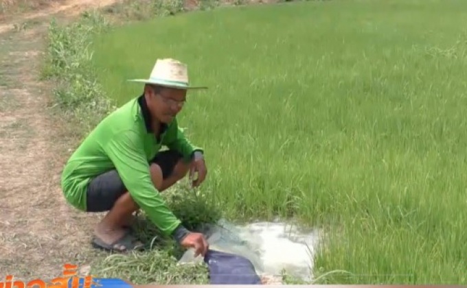 หลายจังหวัดเผชิญผลกระทบภัยแล้ง