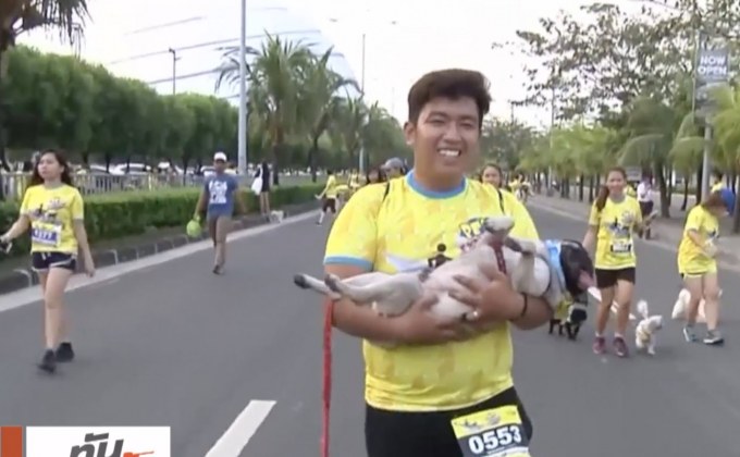 กิจกรรมเดินวิ่งการกุศลกับสุนัขในฟิลิปปินส์