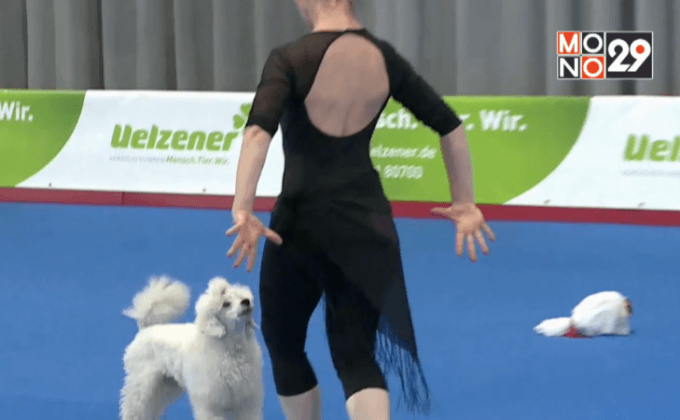 ประกวดสุนัขยอดนักเต้นที่เยอรมนี