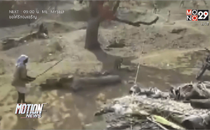 เสือดาวบุกทำร้ายคนในอินเดีย