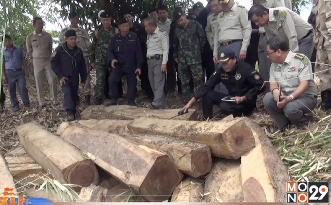 ปฏิบัติการสกัดกั้นขบวนการค้าไม้ข้ามชาติ