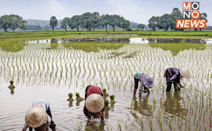 ไม่ปลื้ม! ธปท.ค้าน “พักหนี้เกษตรกร” แบบเดิม