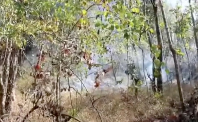 ไฟไหม้ป่ากว่า 500ไร่ จ.นครราชสีมา