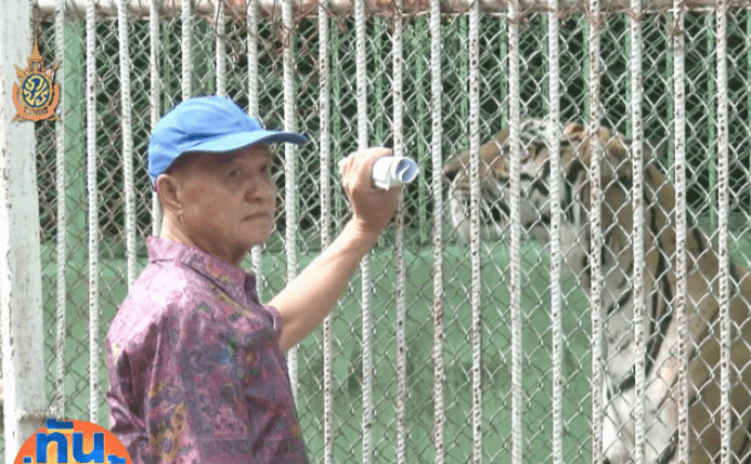 เทียบดีเอ็นเอเสือโคร่งบ้าน “เสี่ยตง”