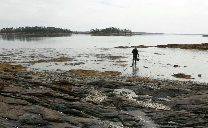 เหยื่อตกปลาในสหรัฐฯ เริ่มขาดแคลน