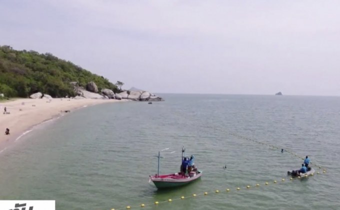 ทช.เริ่มวางทุ่นหาดทรายน้อยป้องกันฉลาม