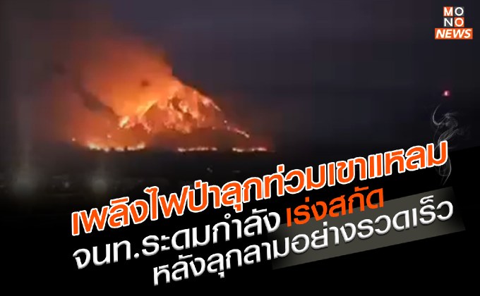 กลืนสลดทั้งเขา! เพลิงไฟป่าลุกท่วมเขาแหลม จนท.ระดมกำลังเร่งสกัด หลังลุกลามอย่างรวดเร็ว